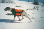 J�gerens Ekstrem